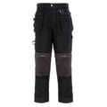 Dickies Eisenhower multi-pocket pro trousers (EF30000) Black